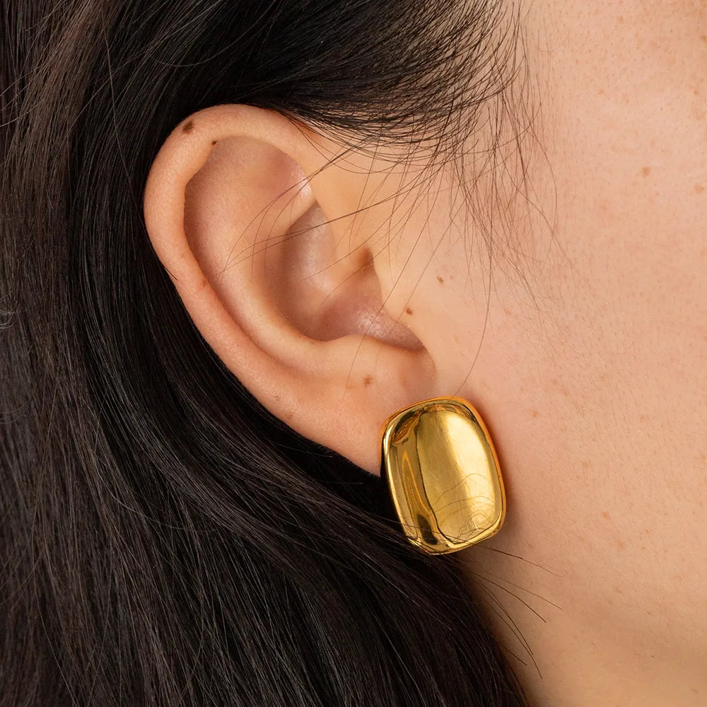 Gold and Silver Plated Rectangle Earrings